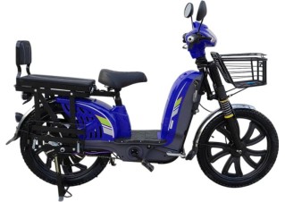 Електроскутер FORTE EM219- 600W 60V/12Ah